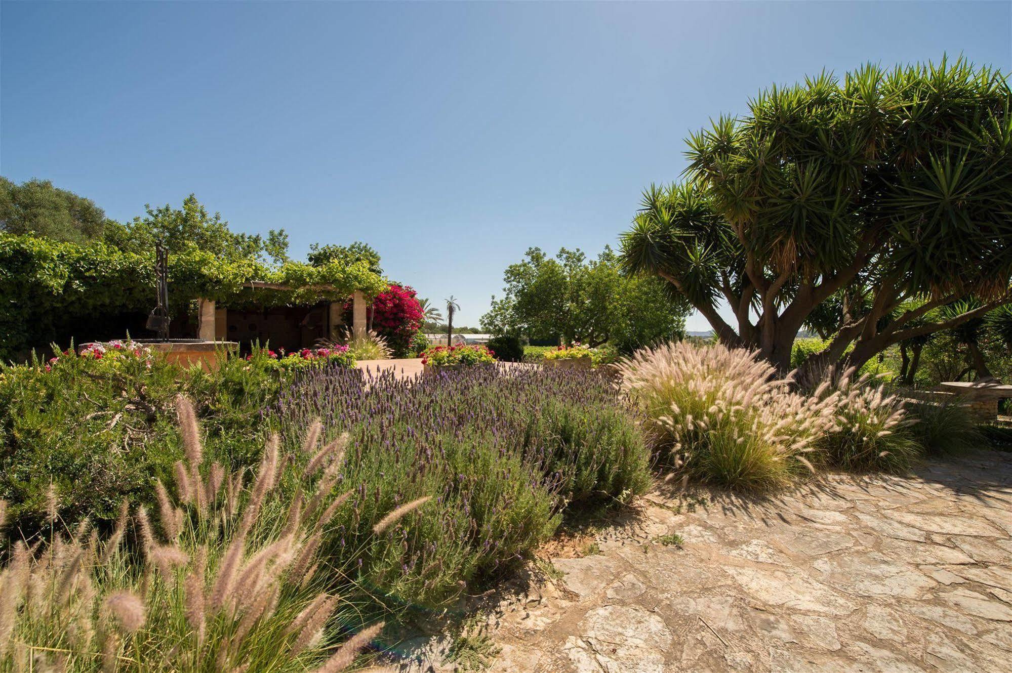 Hotel Rural Can Feliu 포레레스 외부 사진